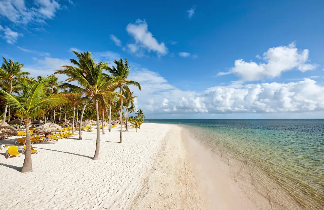 Catalonia Punta Cana - All Inclusive-1